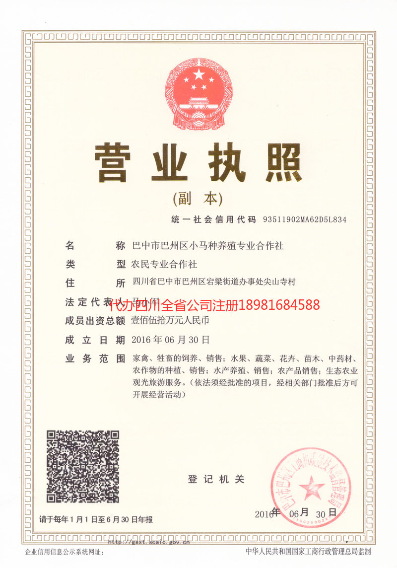 鹤岗鹤岗小马种养殖专业合作社